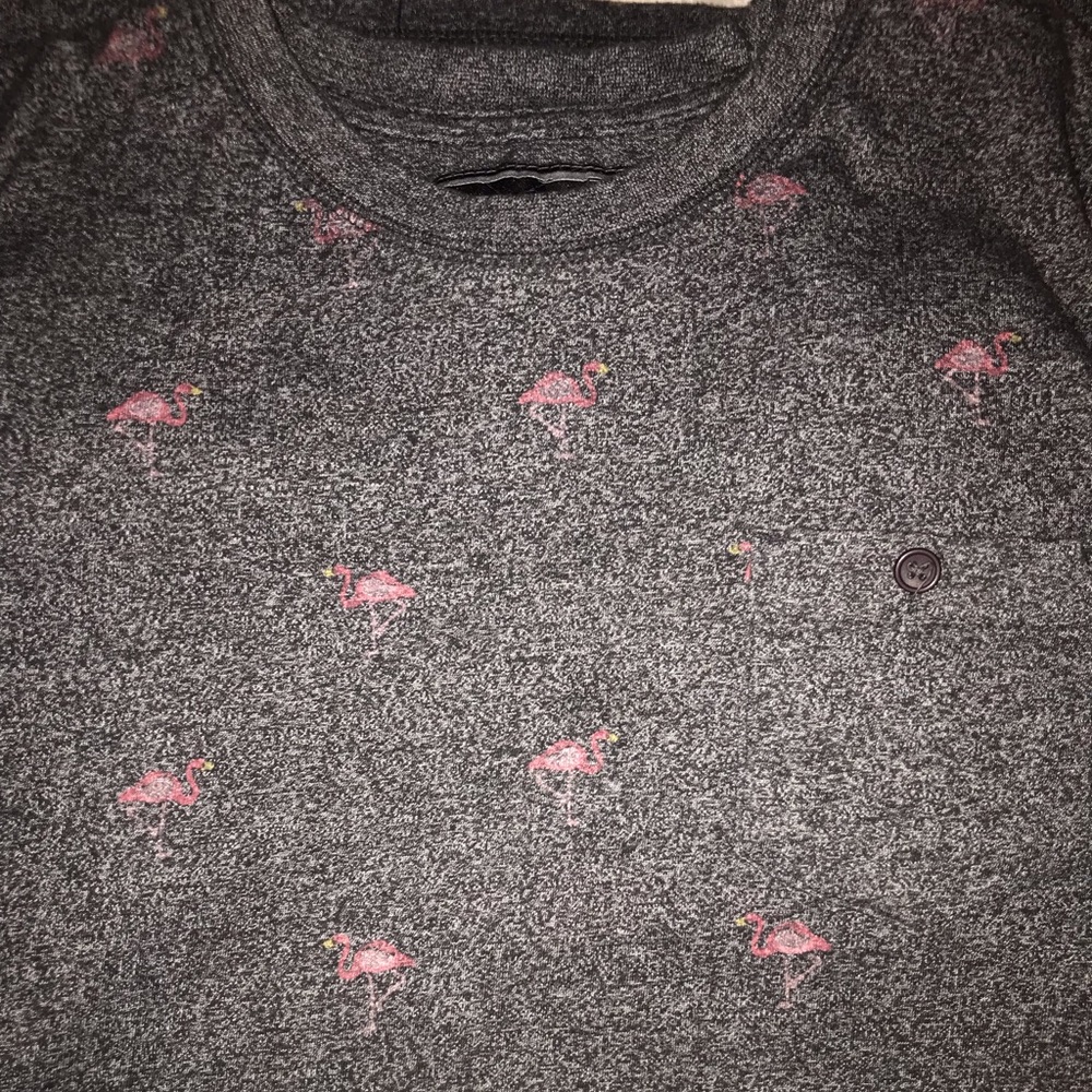Mens Flamingo Shirt from Macy’s
